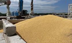 How Russia Exports Ukrainian Grain As Its Own: An Investigation