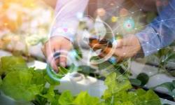 Skilling up the Western Balkans agri-food sector: digitalising, greening