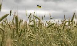 Russia makes at least billion dollars on stolen Ukrainian grain – WSJ