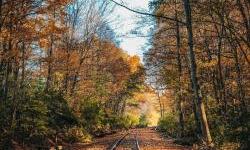 European Union increases support for Moldova with investments in forest development and railway infrastructure