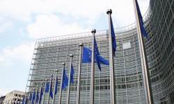 Enlargement without State Capture: A Call for Action for the Next European Commission