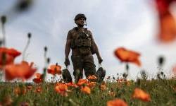 War in Ukraine: Landmines to hurt food exports for years