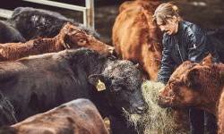 EBRD i FAO jačaju digitalizaciju agrobiznisa u Crnoj Gori